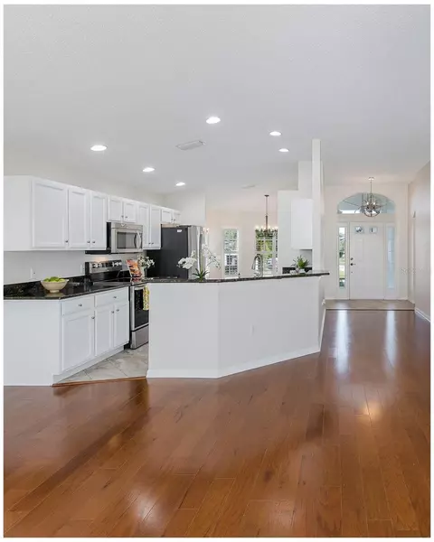 Kitchen - 11428 Hidden Cove Ct, Trinity, FL 34655 photo 7 of 7
