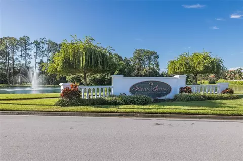 Other - 11428 Hidden Cove Ct, Trinity, FL 34655 photo 18 of 19