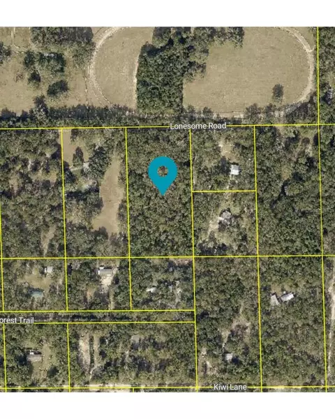 Lonesome Road, Brooksville, FL 34601
