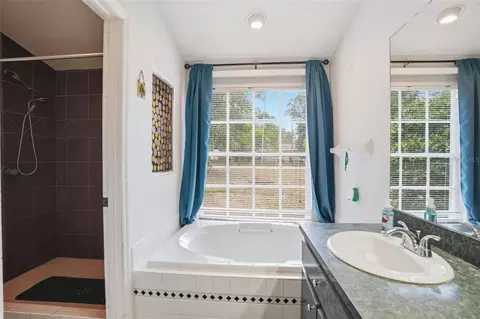 Bath - 4219 Newton Rd, Spring Hill, FL 34606 photo 2 of 4