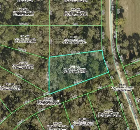 lot12 Carolina Dove Rd, Brooksville, FL 34614