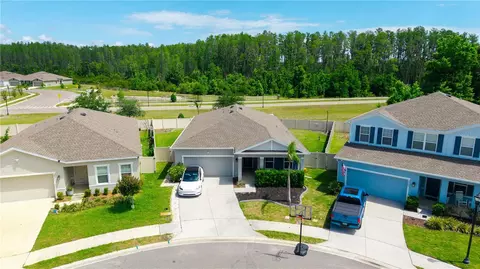 18379 Falling Pine Needle Ln, Land O Lakes, FL 34638