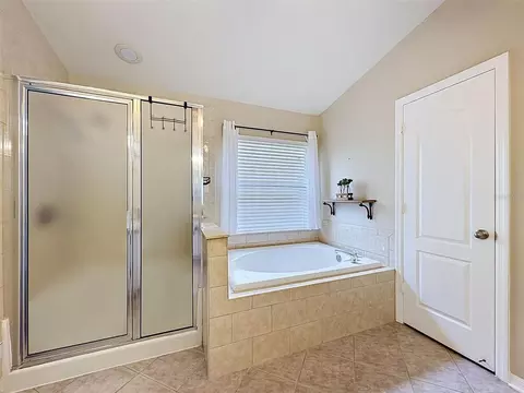 Bath - 26714 Middleground Loop, Wesley Chapel, FL 33544 photo 4 of 7