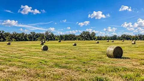Mondon Hill Road, Brooksville, FL 34601