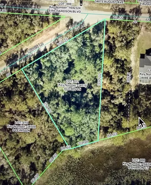 Lewis Lane, Webster, FL 33597