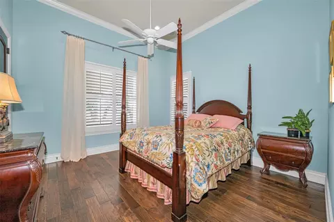Bedroom - 10031 Milano Dr, Trinity, FL 34655 photo 6 of 9