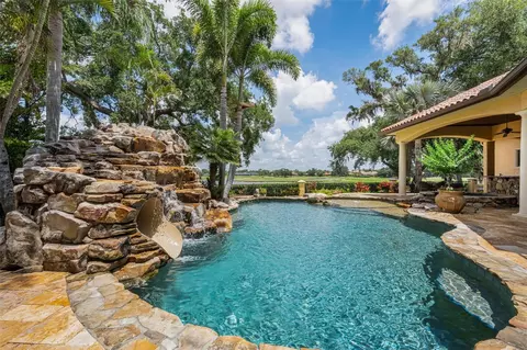 Exterior - 10031 Milano Dr, Trinity, FL 34655 photo 19 of 24