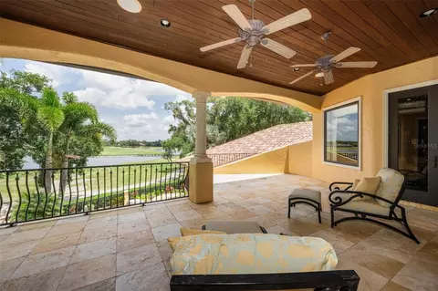 Exterior - 10031 Milano Dr, Trinity, FL 34655 photo 9 of 24
