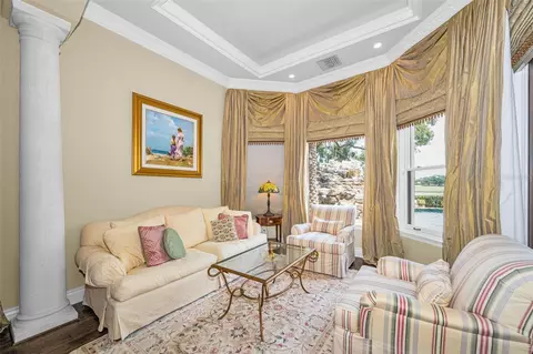 Living - 10031 Milano Dr, Trinity, FL 34655 photo 5 of 8