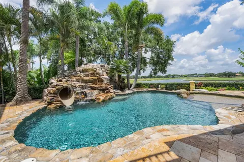 Exterior - 10031 Milano Dr, Trinity, FL 34655 photo 15 of 24