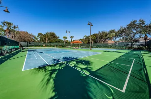 View/Area - 10031 Milano Dr, Trinity, FL 34655 photo 4 of 4