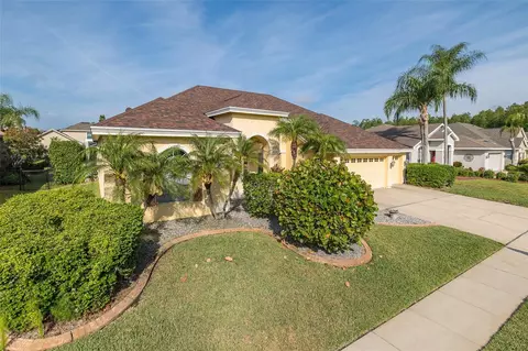 Other - 2131 Gold Dust Ct, Trinity, FL 34655 photo 18 of 18