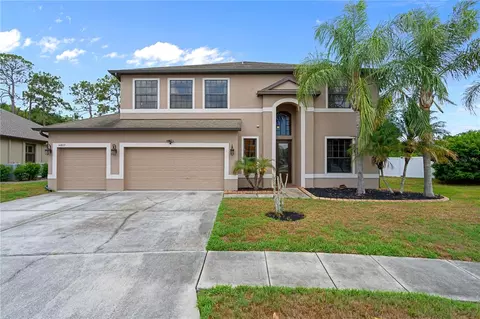 14807 Princewood Ln, Land O Lakes, FL 34638