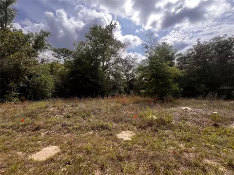 7095 N Foxdale Dr, Citrus Springs, FL 34434