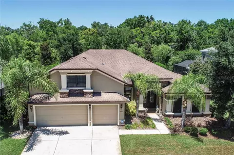 15141 Azra Dr, Odessa, FL 33556