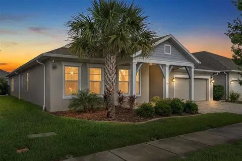 16691 Vibrato Ln, Land O Lakes, FL 34638