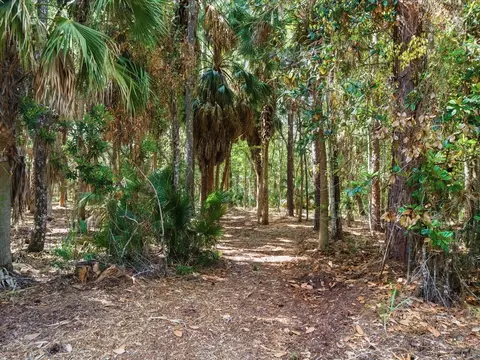 Osowaw Boulevard, Spring Hill, FL 34607 photo 5