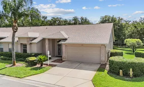 1142 Sweet Jasmine Dr, Trinity, FL 34655