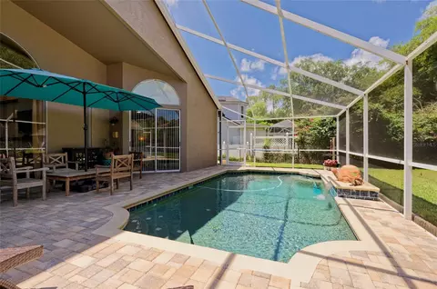 Exterior - 8115 Montock Ct, Trinity, FL 34655 photo 6 of 15