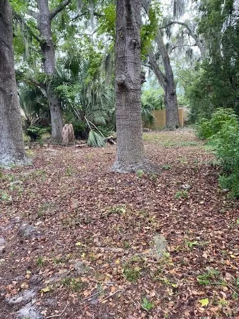 Other - 6442 Treehaven Dr, Spring Hill, FL 34606 photo 11 of 13