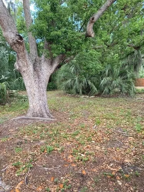 Other - 6442 Treehaven Dr, Spring Hill, FL 34606 photo 13 of 13
