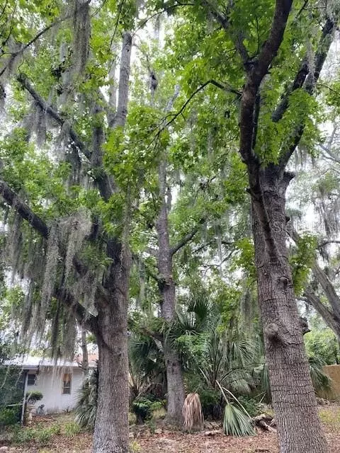 Exterior - 6442 Treehaven Dr, Spring Hill, FL 34606 photo 4 of 4