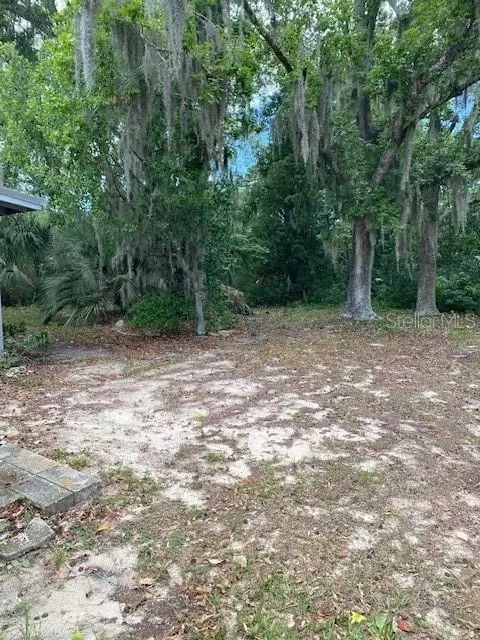 Other - 6442 Treehaven Dr, Spring Hill, FL 34606 photo 12 of 13
