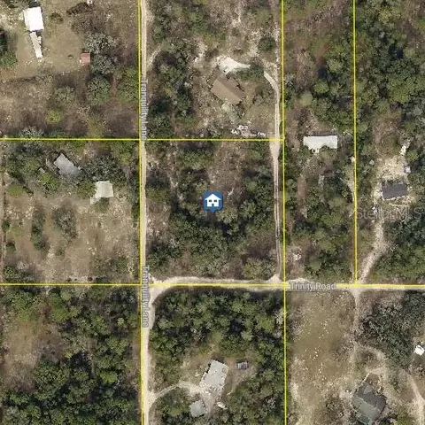Trinity Road, Brooksville, FL 34614