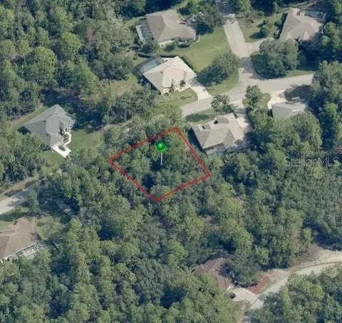 29 Saintpaulia St, Homosassa, FL 34446