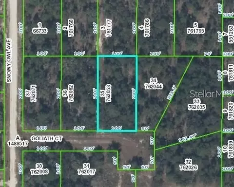 0 Goliath Ct, Weeki Wachee, FL 34614