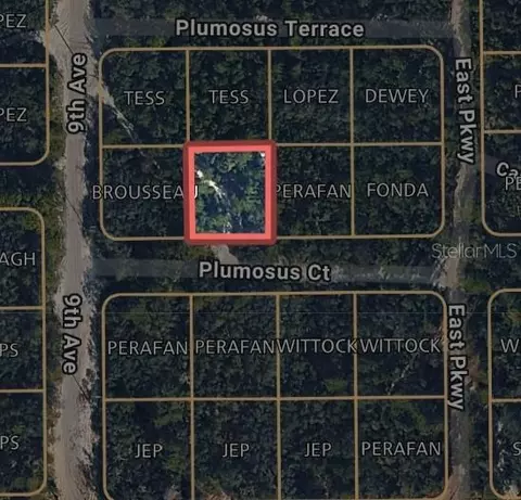 212 Plumosus Ct, Deland, FL 32724