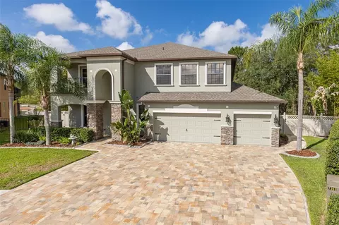 14810 Ninebark Ct, Land O Lakes, FL 34638