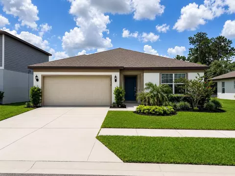 30596 Thunderbird Dr, Wesley Chapel, FL 33545