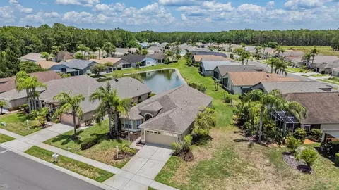 View/Area - 1032 Dustan Pl, Trinity, FL 34655 photo 3 of 15