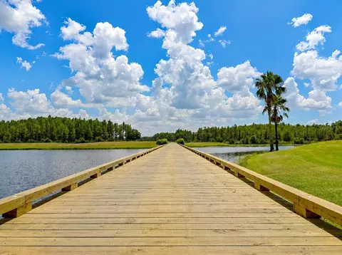 View/Area - 1032 Dustan Pl, Trinity, FL 34655 photo 9 of 15