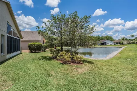Exterior - 1032 Dustan Pl, Trinity, FL 34655 photo 5 of 6