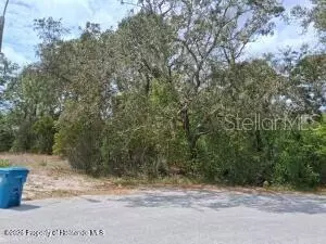 9159 Liberator Ct, Spring Hill, FL 34608
