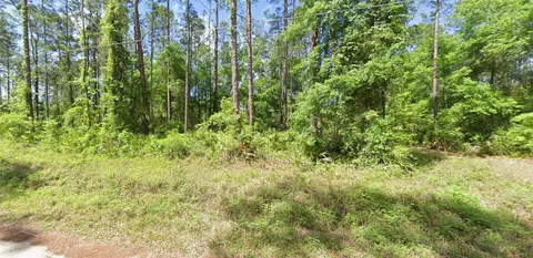 0 NE 156 Pl, Fort Mc Coy, FL 32134