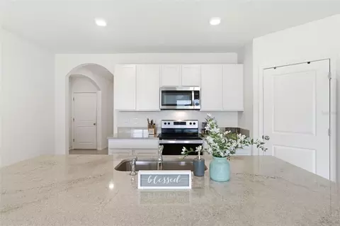 Kitchen - 9014 Forge Breeze Loop, Wesley Chapel, FL 33545 photo 4 of 9