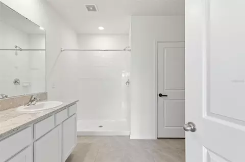 Bath - 9014 Forge Breeze Loop, Wesley Chapel, FL 33545 photo 4 of 4