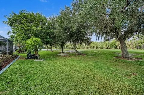 Exterior - 1331 Trimaran Pl, Trinity, FL 34655 photo 6 of 7