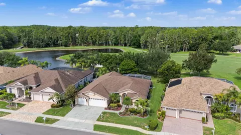 View/Area - 1331 Trimaran Pl, Trinity, FL 34655 photo 2 of 13