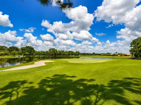 View/Area - 1331 Trimaran Pl, Trinity, FL 34655 photo 9 of 13