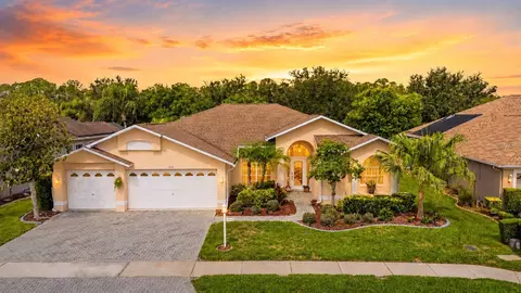 1331 Trimaran Pl, Trinity, FL 34655