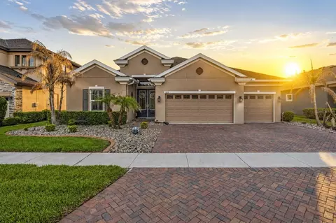 8142 Water Color Dr, Land O Lakes, FL 34638