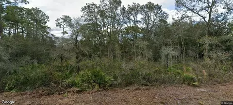 35023 Primrose Ln, Webster, FL 33597