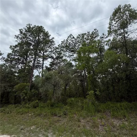 18011 Nutcracker Rd, Weeki Wachee, FL 34614