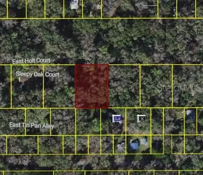 9346 E Sleepy Oak Ct, Inverness, FL 34453