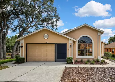 11103 Cherrywood Ct, Spring Hill, FL 34609