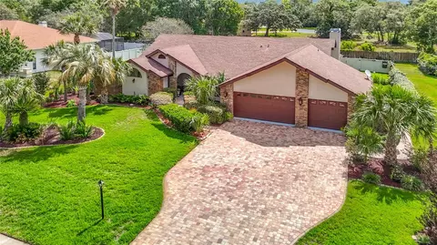 View/Area - 4306 River Birch Dr, Weeki Wachee, FL 34607 photo 2 of 8